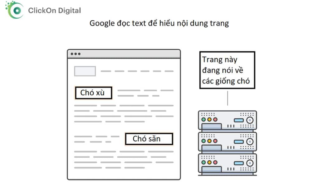 thẻ alt là gì